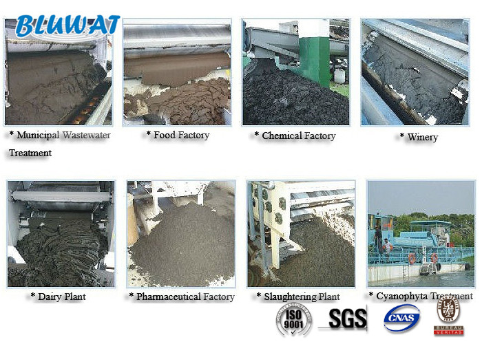 High Charge Density Cationic Flocculant Used in Centrifuge Machine Sludge Dewatering